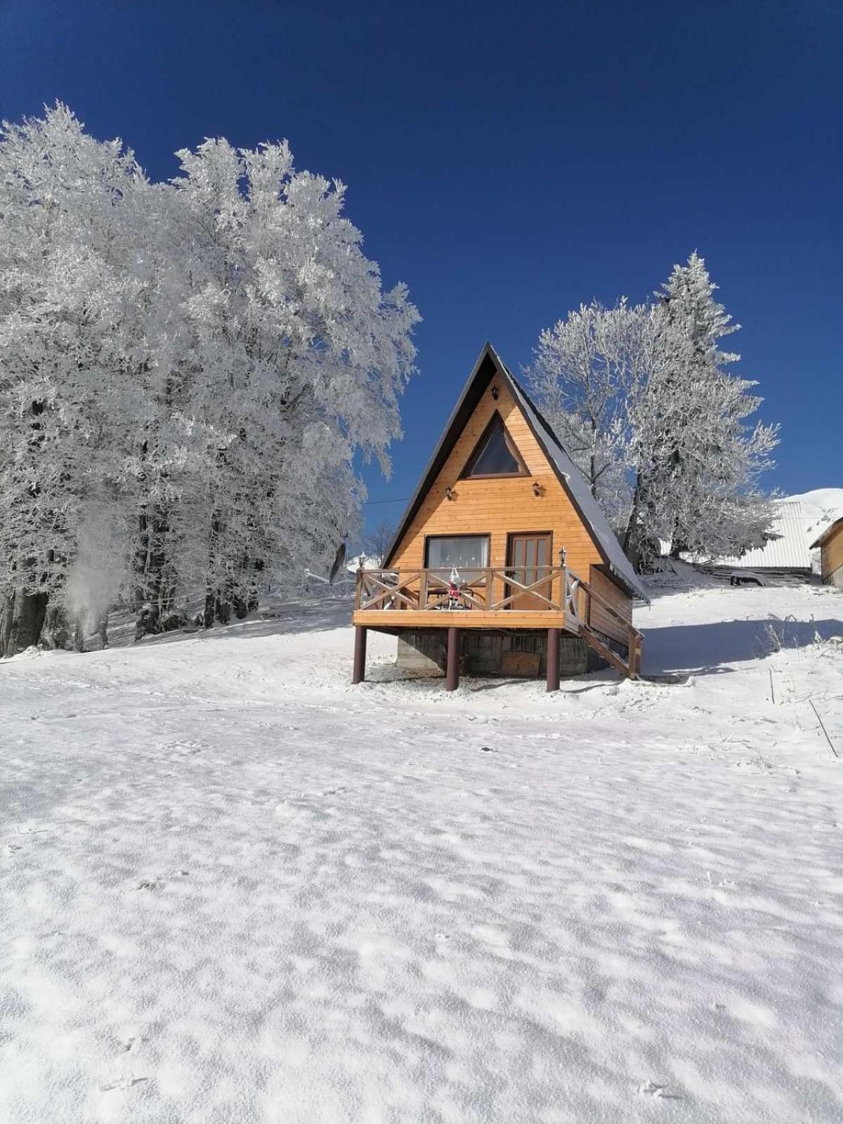 Villa Koliba Luca Smrcevo Brdo à Žabljak Extérieur photo