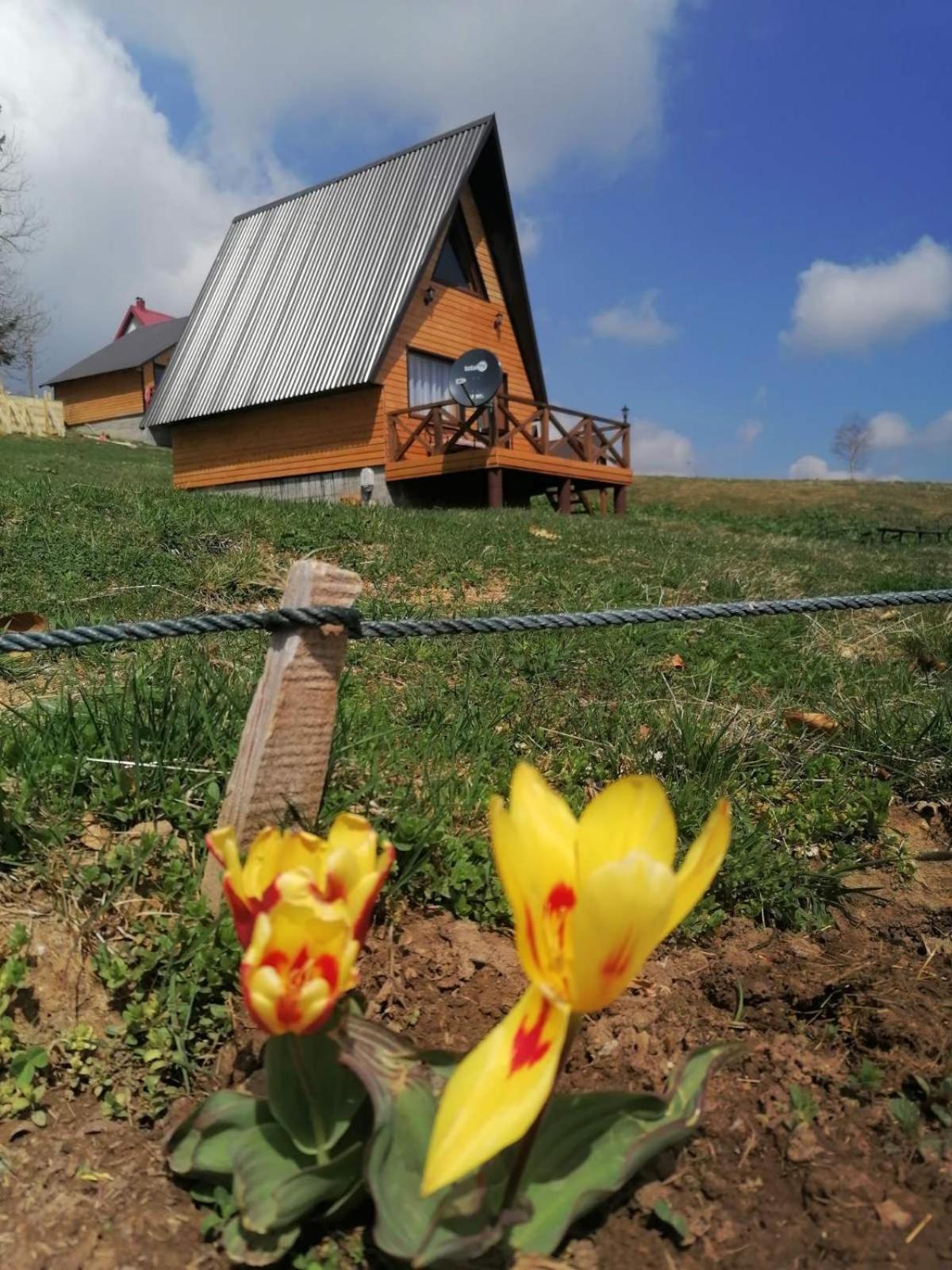 Villa Koliba Luca Smrcevo Brdo à Žabljak Extérieur photo